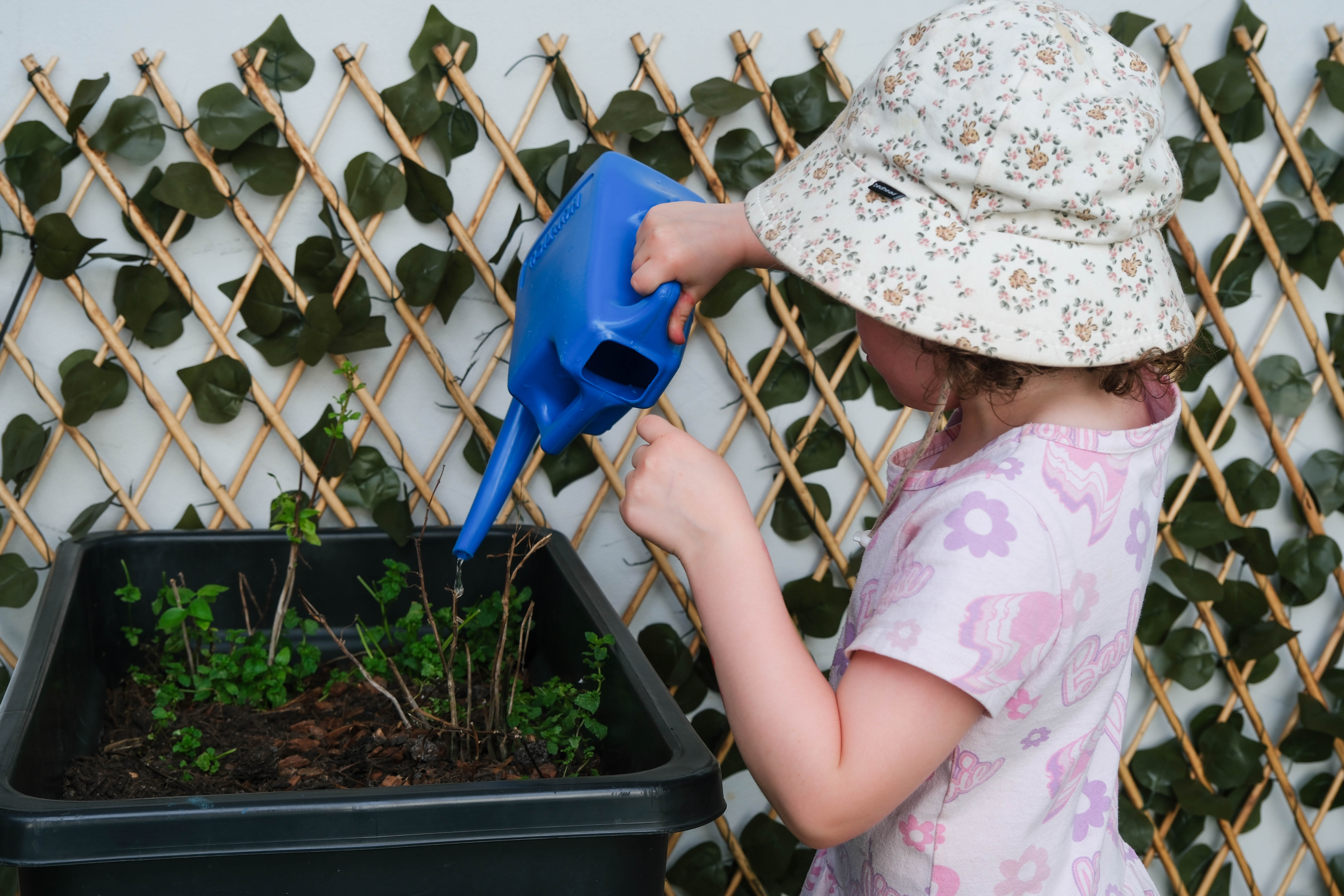 A child watering a plant at a childcare centre managed by Inspire Early Years Management